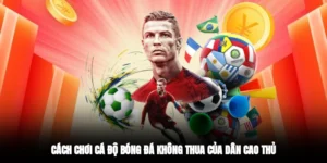 cách chơi cá độ bóng đá không thua