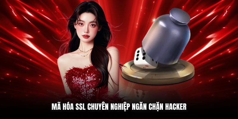 Mã hóa SSL chuyên nghiệp ngăn chặn hacker